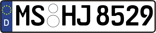 MS-HJ8529