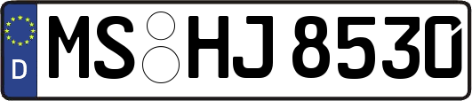 MS-HJ8530