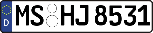 MS-HJ8531