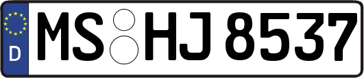 MS-HJ8537