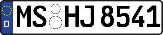 MS-HJ8541