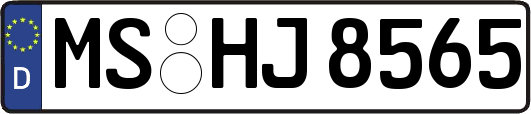 MS-HJ8565