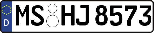 MS-HJ8573