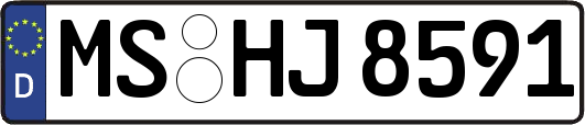 MS-HJ8591