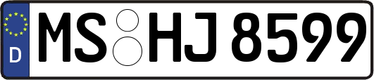 MS-HJ8599