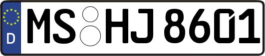 MS-HJ8601