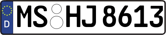 MS-HJ8613
