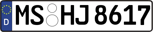 MS-HJ8617