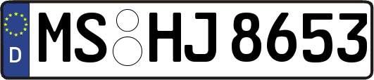 MS-HJ8653
