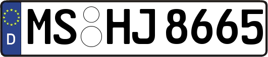 MS-HJ8665