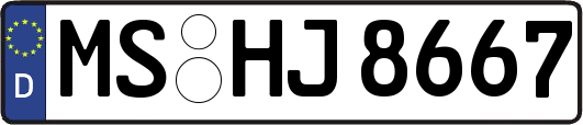 MS-HJ8667