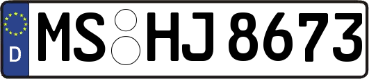 MS-HJ8673