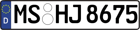 MS-HJ8675
