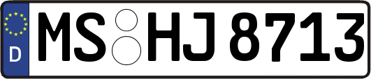 MS-HJ8713