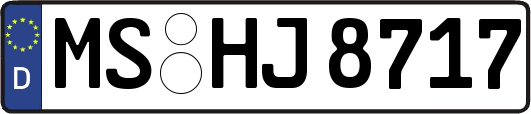 MS-HJ8717