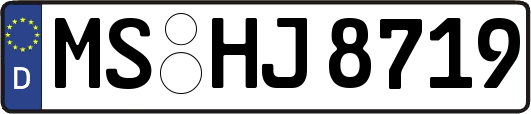 MS-HJ8719