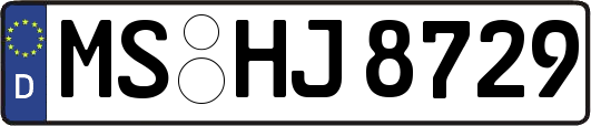 MS-HJ8729