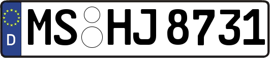 MS-HJ8731