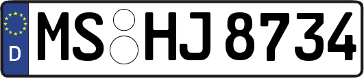 MS-HJ8734
