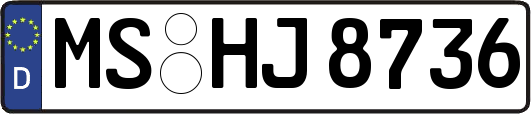 MS-HJ8736