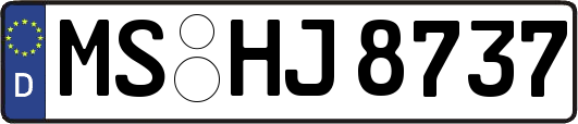 MS-HJ8737