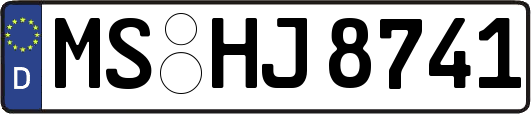 MS-HJ8741