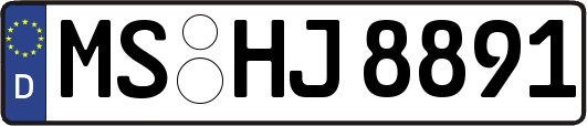 MS-HJ8891