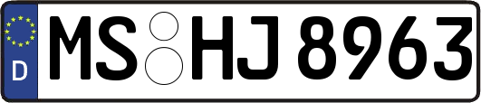 MS-HJ8963