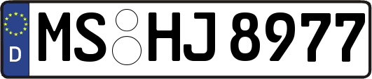MS-HJ8977