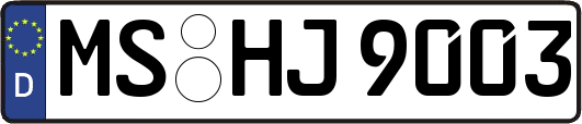 MS-HJ9003