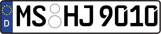 MS-HJ9010