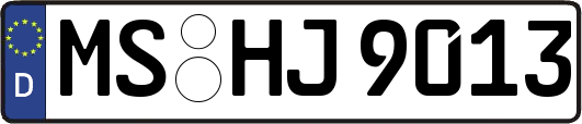 MS-HJ9013