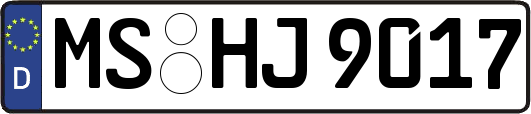 MS-HJ9017