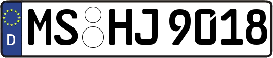 MS-HJ9018