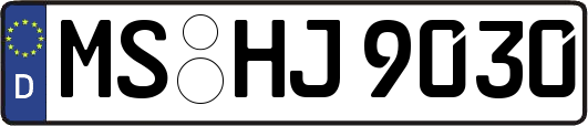 MS-HJ9030
