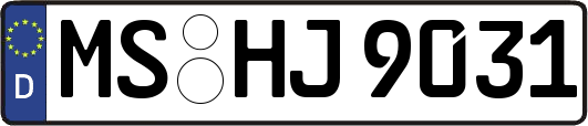 MS-HJ9031