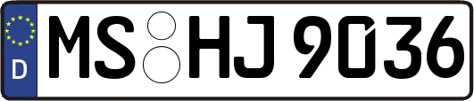 MS-HJ9036