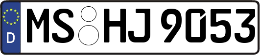 MS-HJ9053