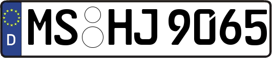 MS-HJ9065