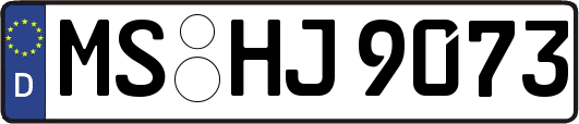 MS-HJ9073
