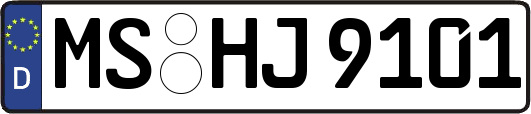 MS-HJ9101