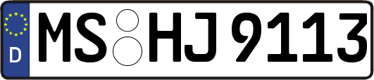 MS-HJ9113
