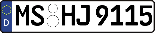 MS-HJ9115
