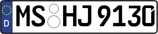 MS-HJ9130