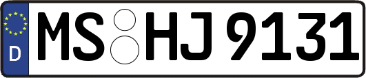 MS-HJ9131