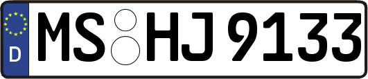 MS-HJ9133