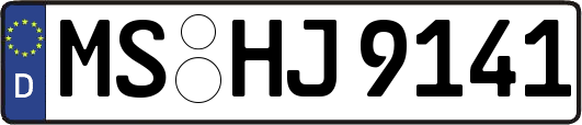 MS-HJ9141