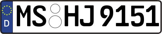 MS-HJ9151