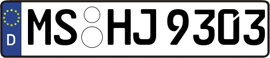 MS-HJ9303
