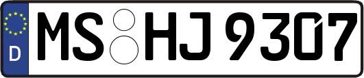 MS-HJ9307